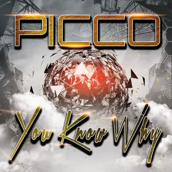 You Know Why by Picco