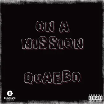 ON A MISSION by Quaebo