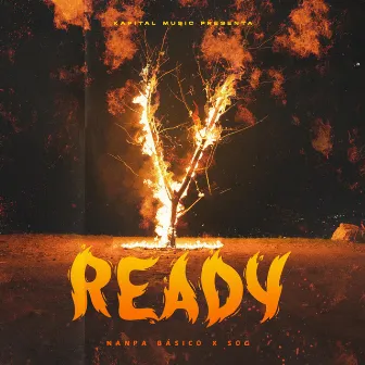 Ready by SOG