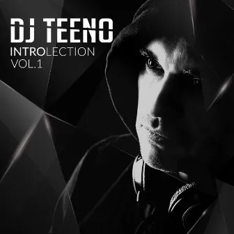 Introlection, Vol.1 by DJ Teeno