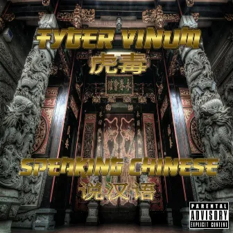 Speaking Chinese by Tyger Vinum