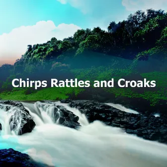 Chirps Rattles and Croaks by Baltic Nature Sounds