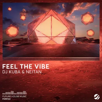 Feel The Vibe by DJ Kuba