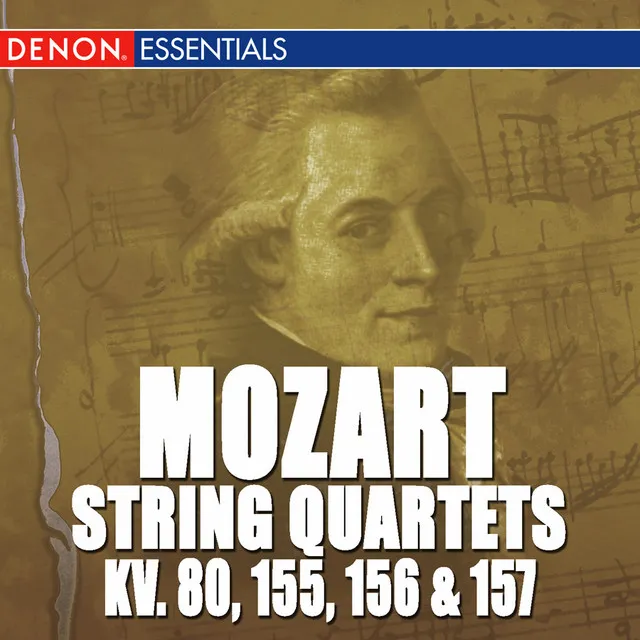 String Quartet No. 2 in D Major, K. 155: II. Andante