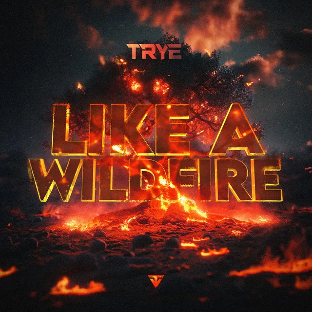 Like A Wildfire - Radio Edit