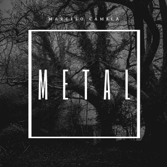 Metal by Marcelo Camela