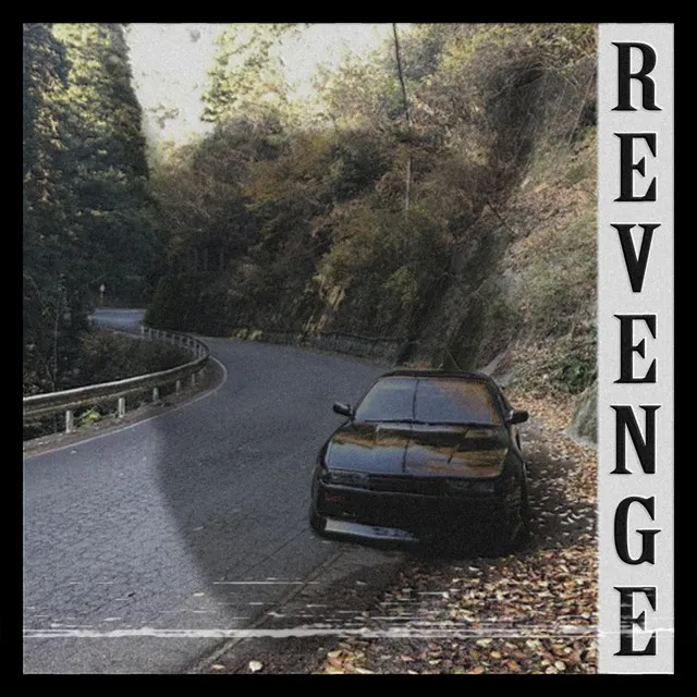 REVENGE