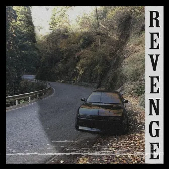 REVENGE by HXVSAGE