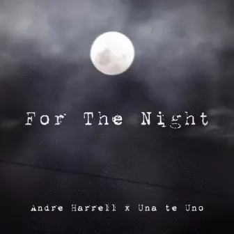 For The Night (Feel Alive) by Andre Harrell