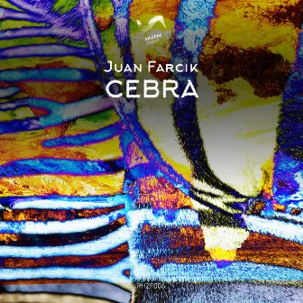 Cebra by Juan Farcik