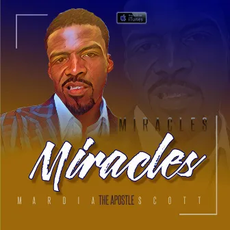 Miracles by Mardia Scott