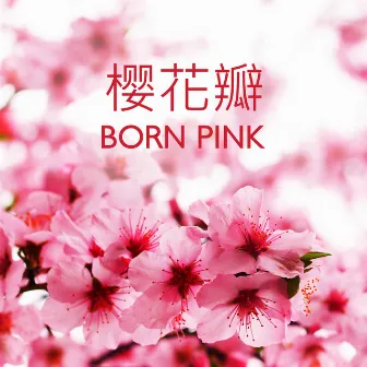 樱花瓣 - Born Pink by Sakura Season さくら