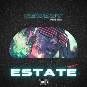 ESTATE' by NewBoy