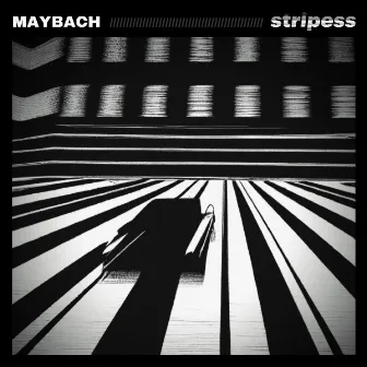 maybach by Stripess