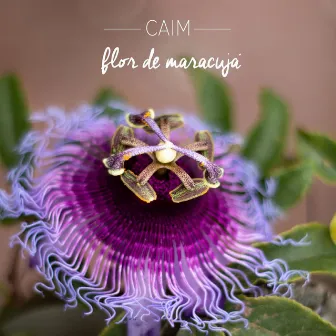 Flor de Maracujá by CAIM Oficial