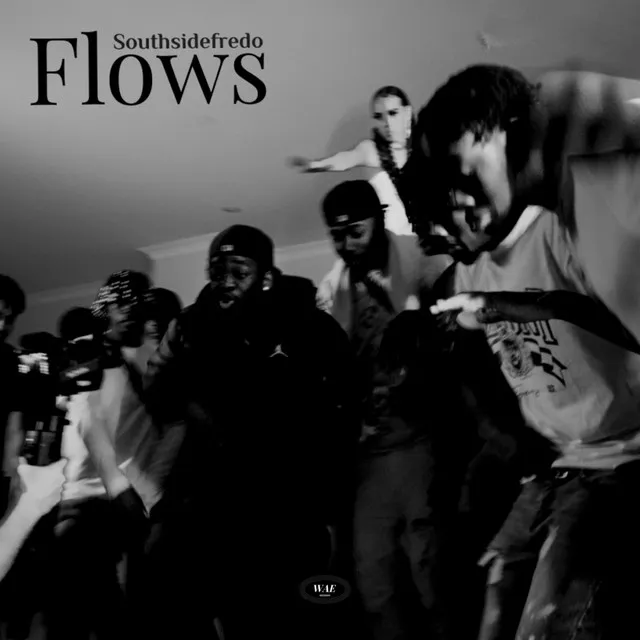 Flows