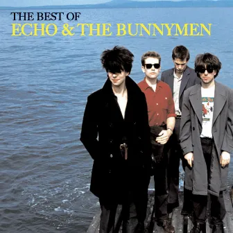 The Best of Echo & The Bunnymen by Echo & the Bunnymen