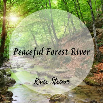 River Stream: Peaceful Forest River by Binaural Movements