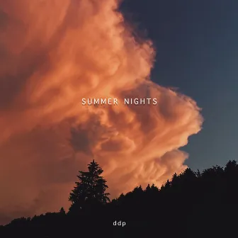 Summer Nights by ddp