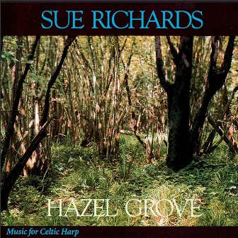 Hazel Grove by Sue Richards