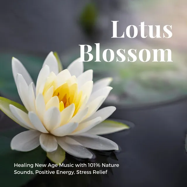 Lotus Blossom: Healing New Age Music with 101% Nature Sounds, Positive Energy, Stress Relief