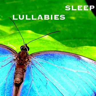 Sleep Lullabies: New Age Instrumental Music for Sleep Inducing & Mind Relaxation by New Age Piano Music Academy