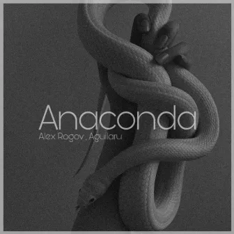 Anaconda by Aguilaru