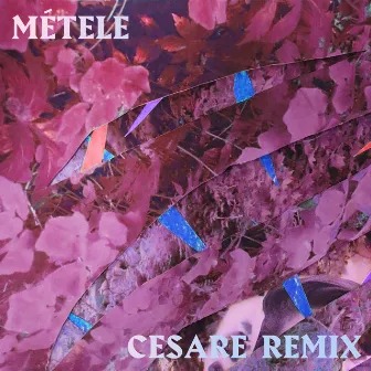 Métele (Cesare Remix) by Buscabulla