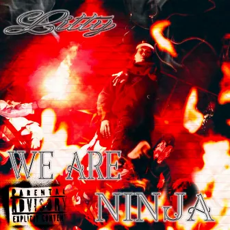 We are ninja by Litty