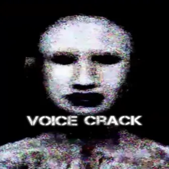 Voice Crack by Mtsg