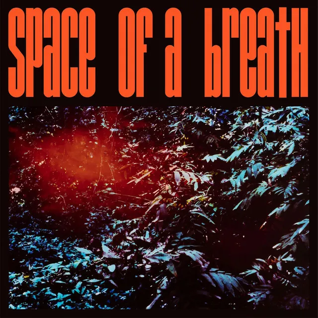 Space of a Breath