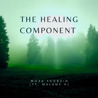 The Healing Component by Woza Thobzin