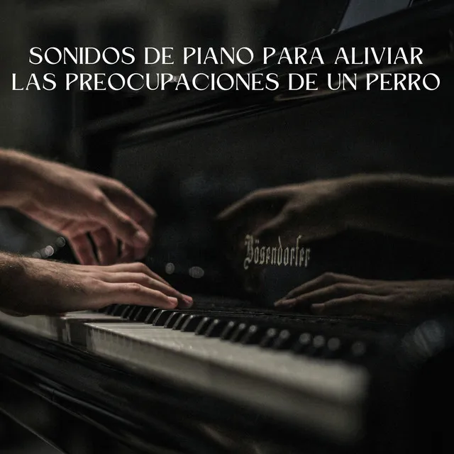 Lista de reproducción de piano clásico