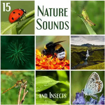 15 Nature Sounds and Insects - Relaxation and Meditation Soundscapes by Echoes Nature Project