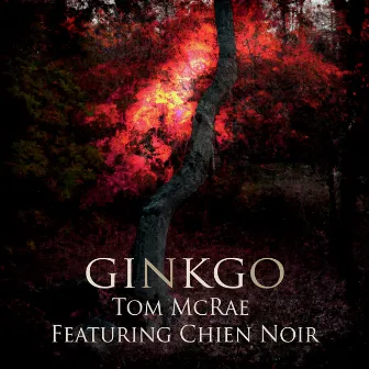 Ginkgo by chien noir