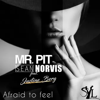 Afraid To Feel by Mr. Pit