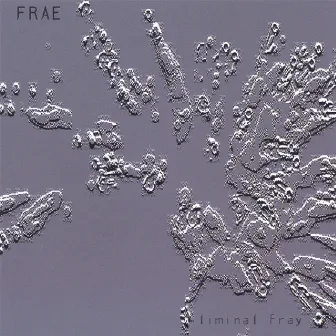 liminal fray by Frae