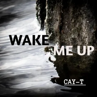 Wake me up by Cay-T