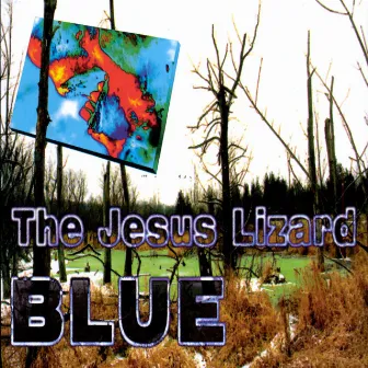 Blue by The Jesus Lizard