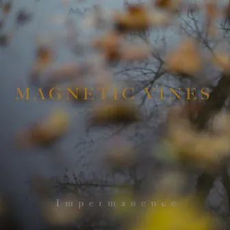 Impermanence by Magnetic Vines