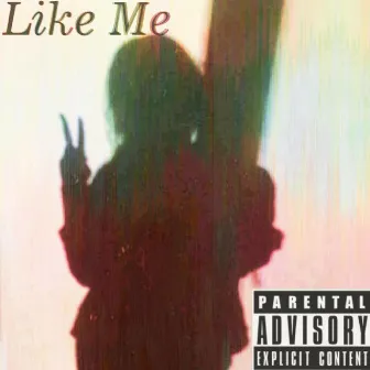 Like Me by D.R.E.