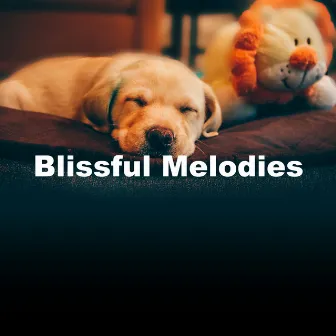 Blissful Melodies by Soothing Dog Music