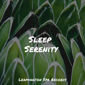 Sleep Serenity by Bedtime Baby