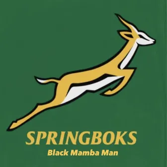 Springboks by Black Mamba Man