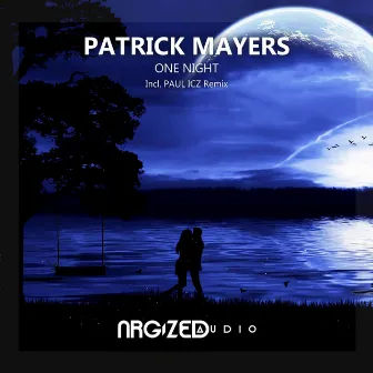 One Night by Patrick Mayers