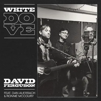 White Dove by David Ferguson