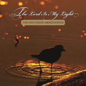 The Lord Is My Light by Randy Boothe