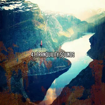 47 Tranquility Sounds by Meditation Masters