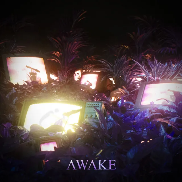 Awake