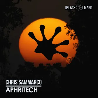 Aphritech (Radio Edit) by Chris Sammarco